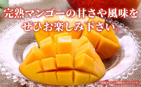 《2026年発送先行予約》【数量・期間限定】完熟マンゴーA3L(2玉入り) 宮崎県産 国産 マンゴー 完熟マンゴー 完熟 A3L 2玉 フルーツ 果物 くだもの デザート 南国 贈答 贈り物 ギフト プレゼント グルメ お取り寄せ_M056-001_17