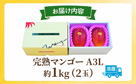 《2026年発送先行予約》【数量・期間限定】完熟マンゴーA3L(2玉入り) 宮崎県産 国産 マンゴー 完熟マンゴー 完熟 A3L 2玉 フルーツ 果物 くだもの デザート 南国 贈答 贈り物 ギフト プレゼント グルメ お取り寄せ_M056-001_17