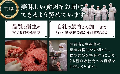 【創業40年】老舗ハンバーグ店　宮崎県産黒毛和牛合挽ハンバーグ140g×10個_M222-012_02