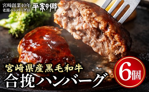 【創業40年】老舗ハンバーグ店「平家の郷」宮崎県産黒毛和牛合挽ハンバーグ140g×6個_M222-012_01