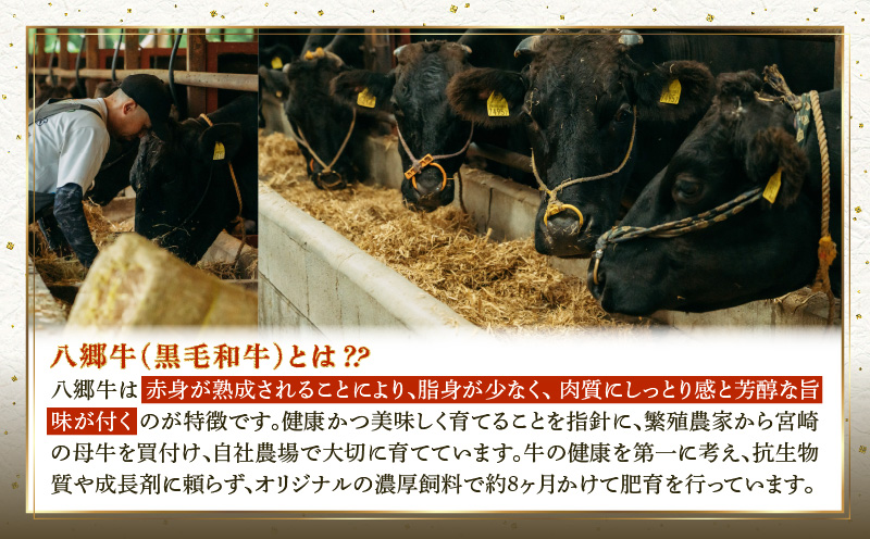 【全3回】宮崎県産黒毛和牛定期便(合計2.51kg)_M222-T013-3-2