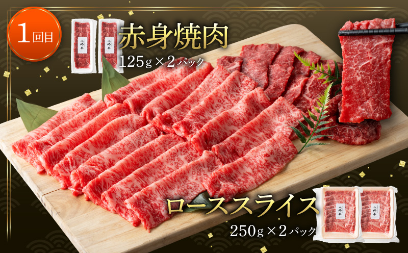 【全3回】宮崎県産黒毛和牛定期便(合計2.51kg)_M222-T013-3-2