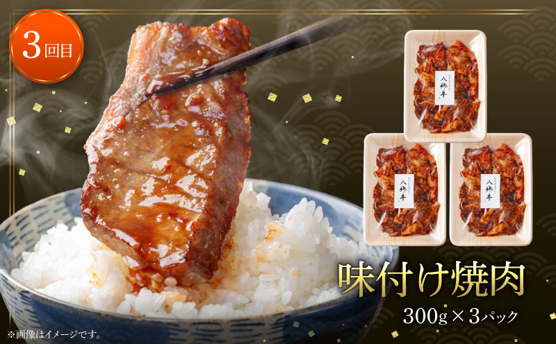 【全3回】宮崎県産黒毛和牛定期便(合計2.51kg)_M222-T013-3-2