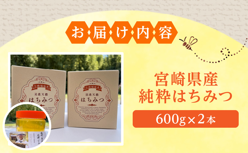 【数量限定】宮崎県産純粋はちみつ(600g×2本) 国産 蜂蜜 ハチミツ はちみつ 600g 2本 天然 純粋 純粋蜂蜜 純粋はちみつ 天然蜂蜜 ミツバチ 蜜蜂 パン ヨーグルト 紅茶 グルメ お取り寄せ ギフト_M126-006_01