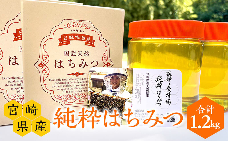 【数量限定】宮崎県産純粋はちみつ(600g×2本) 国産 蜂蜜 ハチミツ はちみつ 600g 2本 天然 純粋 純粋蜂蜜 純粋はちみつ 天然蜂蜜 ミツバチ 蜜蜂 パン ヨーグルト 紅茶 グルメ お取り寄せ ギフト_M126-006_01