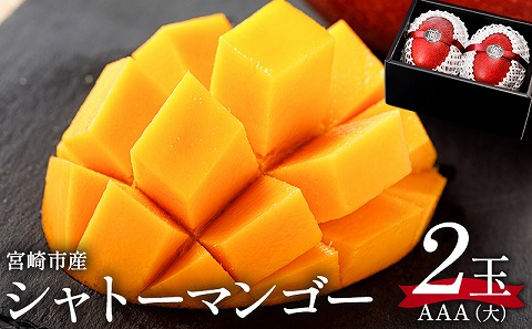《2026年発送先行予約》【数量・期間限定】シャトーマンゴー(大) AAA 2玉｜宮崎マンゴー シャトーマンゴー フルーツ 果物 果実 スイーツ 完熟｜_M126-009