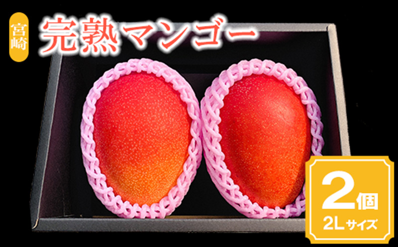 《2026年発送》【期間・数量限定】宮崎完熟マンゴー2玉 2Lサイズ(1玉350～399g) 宮崎県産 国産 マンゴー 宮崎マンゴー 完熟マンゴー 2玉 2Lサイズ フルーツ 果物 デザート 完熟 ギフト グルメ お取り寄せ 特産品_M126-014_01