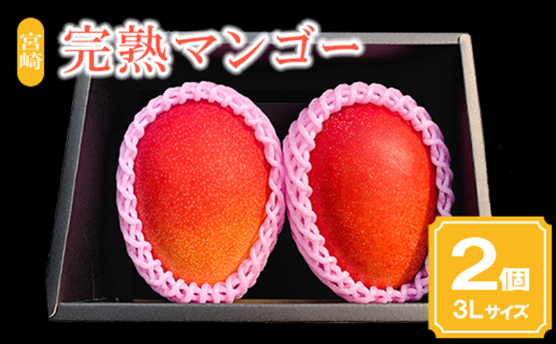 《2026年発送》【期間・数量限定】宮崎市産完熟マンゴー2玉 3Lサイズ(1玉400～449g) 宮崎県産 国産 マンゴー 宮崎マンゴー 完熟マンゴー 2玉 3Lサイズ フルーツ 果物 デザート 完熟 ギフト グルメ お取り寄せ 特産品_M126-015_01