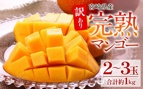 《2026年発送先行予約》【数量・期間限定】【訳あり】 完熟マンゴー 合計約1kg (2～3玉)_M126-026