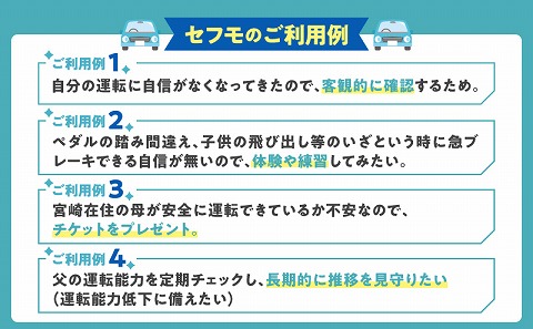 セフモ(運転技能を評価・改善するサービス)運転トレーニングチケット_M335-001