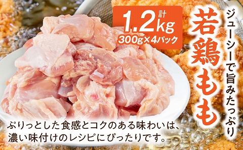 宮崎県産若鶏もも・むね切り身 小分けパック 合計4.2kg_M241-005