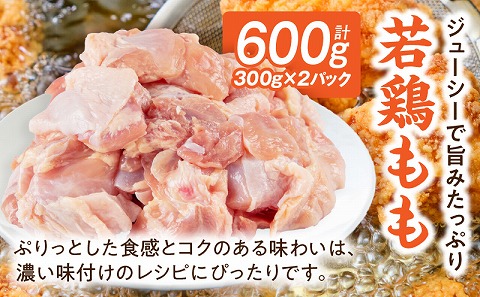 宮崎県産 若鶏 もも・むね 切り身 小分けパック 合計3kg_M241-004