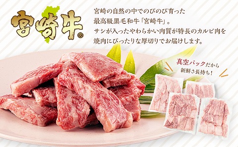 宮崎牛 カルビ(バラ) 焼肉 250g×4パック 合計1kg_M365-001