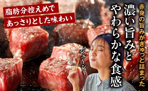 宮崎牛赤身サイコロステーキ 合計800g 牛肉 牛 和牛 肉 お肉 宮崎牛 赤身 サイコロカット 真空パック サイコロステーキ ひとくち ひと口_M241-018-03