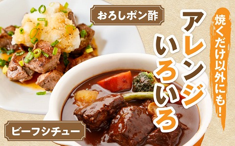 宮崎牛赤身サイコロステーキ 合計800g 牛肉 牛 和牛 肉 お肉 宮崎牛 赤身 サイコロカット 真空パック サイコロステーキ ひとくち ひと口_M241-018-03