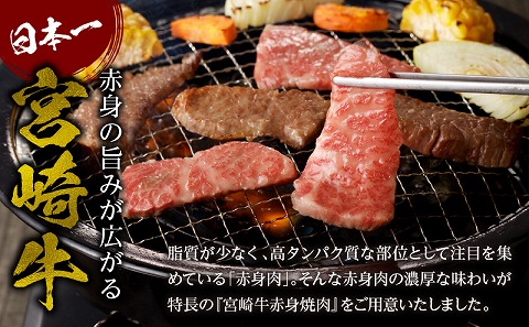 宮崎牛赤身焼肉　計800g_M332-008