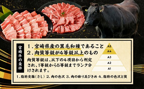 宮崎牛赤身焼肉　計800g_M332-008