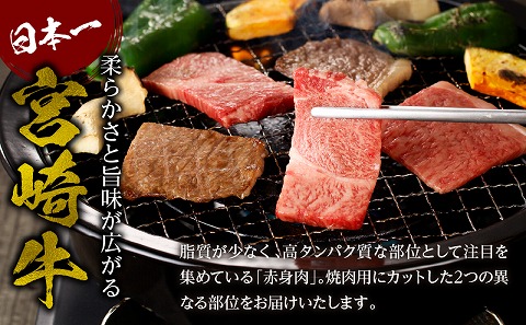 宮崎牛赤身霜降り焼肉　計800g_M332-009