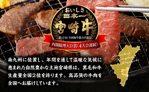 宮崎牛赤身霜降り焼肉　計800g_M332-009