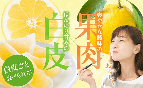 【先行予約】【期間・数量限定】宮崎特産 日向夏_M342-001