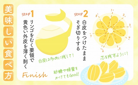 【先行予約】【期間・数量限定】宮崎特産 日向夏_M342-001