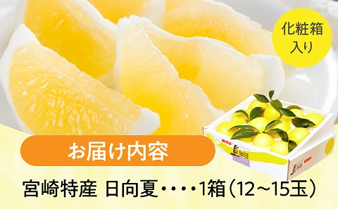 【先行予約】【期間・数量限定】宮崎特産 日向夏_M342-001