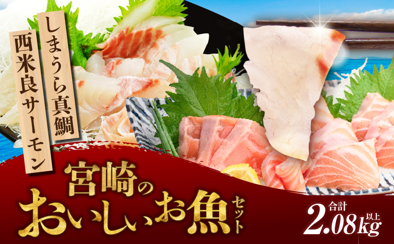 宮崎のおいしいお魚セット 真鯛 サーモン 鯛 鮭 詰め合わせ セット 魚 皮付き 皮なし 柵どり 真空パック パック 冷蔵 お取り寄せ ギフト お刺身 刺身 カルパッチョ しゃぶしゃぶ 塩焼き 鯛料理 魚料理 料理 潮汁 アラ_M342-006