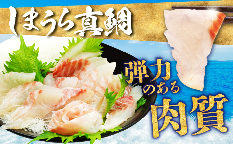 宮崎のおいしいお魚セット 真鯛 サーモン 鯛 鮭 詰め合わせ セット 魚 皮付き 皮なし 柵どり 真空パック パック 冷蔵 お取り寄せ ギフト お刺身 刺身 カルパッチョ しゃぶしゃぶ 塩焼き 鯛料理 魚料理 料理 潮汁 アラ_M342-006
