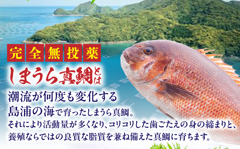 宮崎のおいしいお魚セット 真鯛 サーモン 鯛 鮭 詰め合わせ セット 魚 皮付き 皮なし 柵どり 真空パック パック 冷蔵 お取り寄せ ギフト お刺身 刺身 カルパッチョ しゃぶしゃぶ 塩焼き 鯛料理 魚料理 料理 潮汁 アラ_M342-006