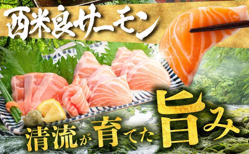 宮崎のおいしいお魚セット 真鯛 サーモン 鯛 鮭 詰め合わせ セット 魚 皮付き 皮なし 柵どり 真空パック パック 冷蔵 お取り寄せ ギフト お刺身 刺身 カルパッチョ しゃぶしゃぶ 塩焼き 鯛料理 魚料理 料理 潮汁 アラ_M342-006