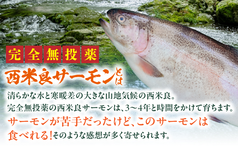 宮崎のおいしいお魚セット 真鯛 サーモン 鯛 鮭 詰め合わせ セット 魚 皮付き 皮なし 柵どり 真空パック パック 冷蔵 お取り寄せ ギフト お刺身 刺身 カルパッチョ しゃぶしゃぶ 塩焼き 鯛料理 魚料理 料理 潮汁 アラ_M342-006