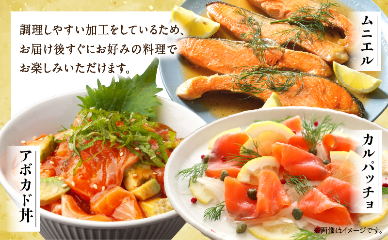 宮崎のおいしいお魚セット 真鯛 サーモン 鯛 鮭 詰め合わせ セット 魚 皮付き 皮なし 柵どり 真空パック パック 冷蔵 お取り寄せ ギフト お刺身 刺身 カルパッチョ しゃぶしゃぶ 塩焼き 鯛料理 魚料理 料理 潮汁 アラ_M342-006