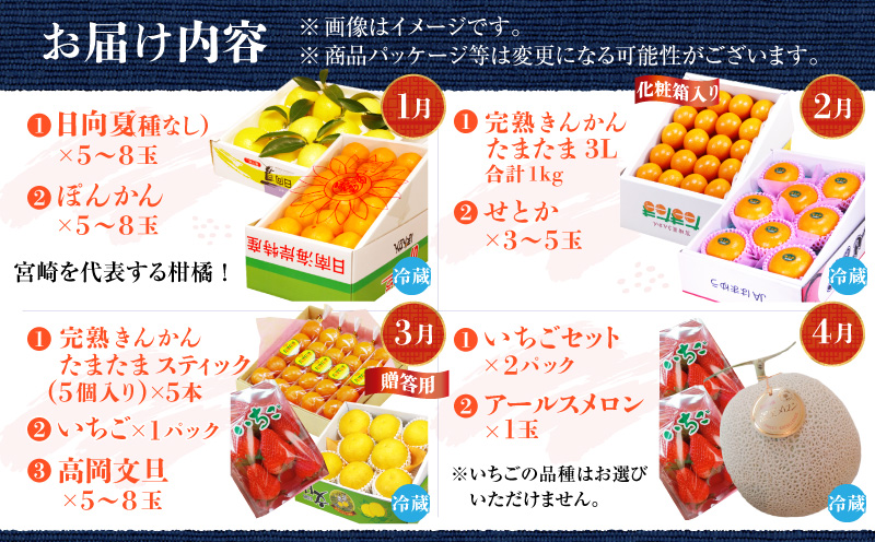 南国宮崎のフルーツ12ヶ月定期便_M342-T001