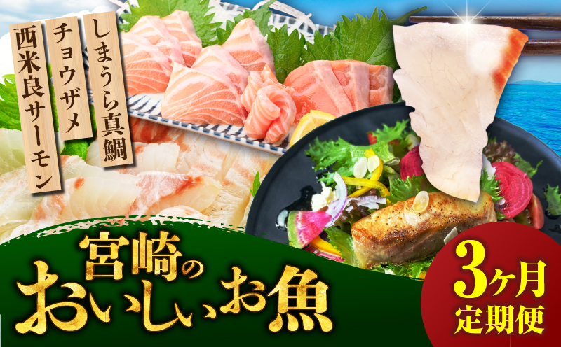 宮崎のおいしいお魚 3ヶ月定期便 真鯛 チョウザメ サーモン 鯛 鮭 定期便 3回 3ヶ月 魚 皮付き 皮なし 柵どり 切り身 真空パック パック 冷蔵 お取り寄せ ギフト お刺身 刺身 カルパッチョ しゃぶしゃぶ 塩焼き ムニエル ステーキ お茶漬け 鯛料理 魚料理 料理 潮汁 アラ 料亭_M342-T007-3-1