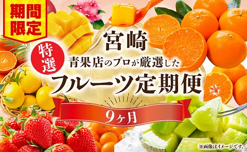 【期間・数量限定】特選！旬のフルーツ9ヶ月定期便vol.1_M348-T002