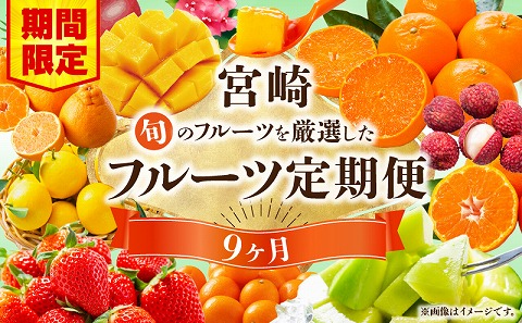【数量・期間限定】旬のフルーツ9ヶ月定期便vol.1_M348-T008