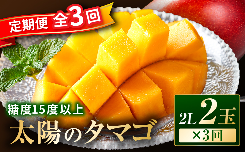 《2026年発送先行予約》【数量・期間限定】【全3回】太陽のタマゴ定期便 太陽のタマゴ 糖度15度以上 マンゴー ブランドマンゴー 濃厚 甘み 芳醇 完熟_M348-T010-3-1