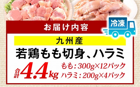 九州産若どり4.4kg小分けセット_M333-003_02