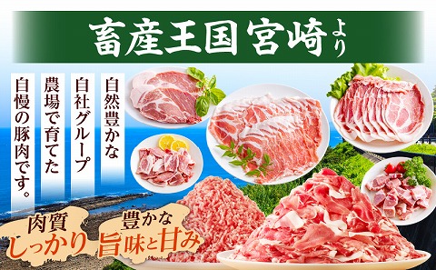 宮崎県産豚肉バラエティセット5kg_M277-006