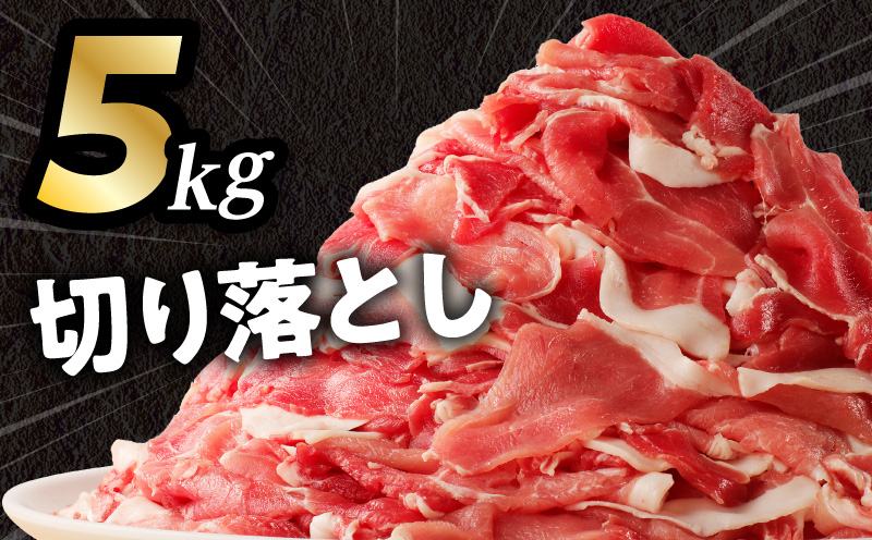 åœç£æ¯è± å®®åŽçç£è±è åãèœãšãïŒãã³ãã»ãã 7.5kg æ¯è± åãèœãšã ãã³ã ã»ãã å°åã ãã㯠è±è è± è åœç£ å®®åŽçç£ æ°é®® æšå³ 䜿ãåææçŸ€ å®¶åºæç å·å å³éž æè»œ çãç© æç ææ è±èæç ã¹ã©ã€ã¹ çæŽ»å¿æŽ ãåŒåœ ããã ã«ã é€å ã®ã§ãŠã¶ çç£çåœ è±èçåœ è©°ãåãã å®¶åºæç 倧掻èº_M277-001-02
