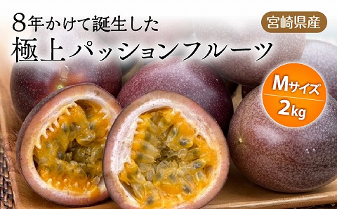 《2026年発送先行予約》【数量・期間限定】8年かけて誕生した宮崎県産極上パッションフルーツＭ 2kg_M057-004