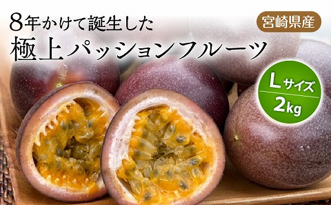《2026年発送先行予約》【数量・期間限定】8年かけて誕生した宮崎県産極上パッションフルーツＬ 2kg_M057-005