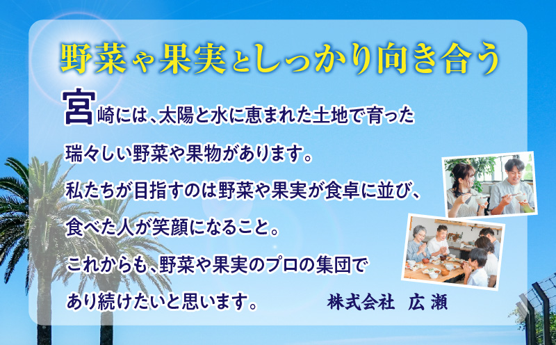《2026年発送先行予約》【数量・期間限定】3回定期便 2L3玉完熟マンゴーコース 宮崎特産 完熟マンゴー マンゴー 糖度13度 糖度14度 南国 フルーツ 定期便 果物 くだもの 数量限定 期間限定_M354-T005-3-1