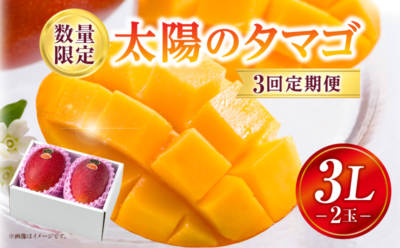 《2026年発送先行予約》【数量・期間限定】3回定期便 3L2玉太陽のタマゴコース_M354-T003
