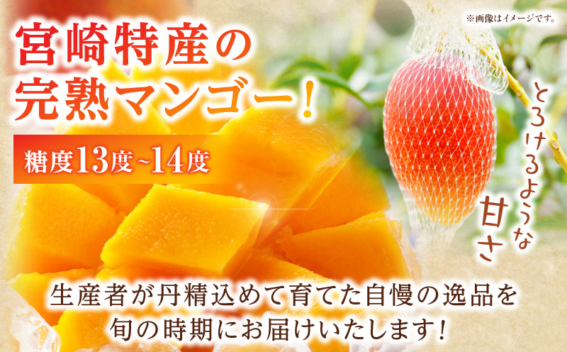 《2026年発送先行予約》【数量・期間限定】3回定期便 2L3玉完熟マンゴーコース 宮崎特産 完熟マンゴー マンゴー 糖度13度 糖度14度 南国 フルーツ 定期便 果物 くだもの 数量限定 期間限定_M354-T005-3-1