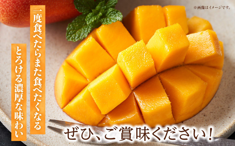 《2026年発送先行予約》【数量・期間限定】3回定期便 2L3玉完熟マンゴーコース 宮崎特産 完熟マンゴー マンゴー 糖度13度 糖度14度 南国 フルーツ 定期便 果物 くだもの 数量限定 期間限定_M354-T005-3-1