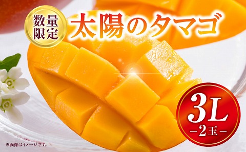 《2026年発送先行予約》【数量・期間限定】太陽のタマゴ 3Lサイズ 2玉_M354-001-02