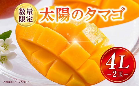 《2026年発送先行予約》【数量・期間限定】太陽のタマゴ 4Lサイズ 2玉_M354-001-03