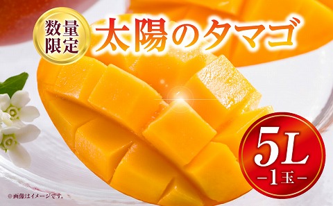 《2026年発送先行予約》【数量・期間限定】太陽のタマゴ 5Lサイズ 1玉_M354-001-04