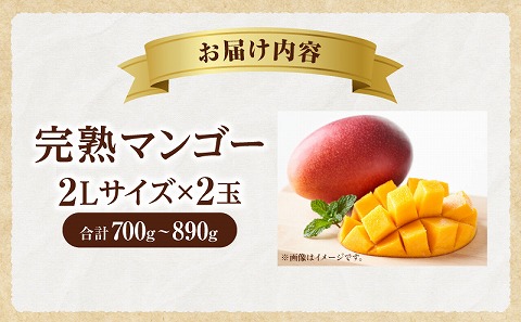 ã2026幎çºéå
è¡äºçŽããæ°éã»æééå®ãå®çãã³ãŽãŒ 2Lãµã€ãº 2ç_M354-002-02